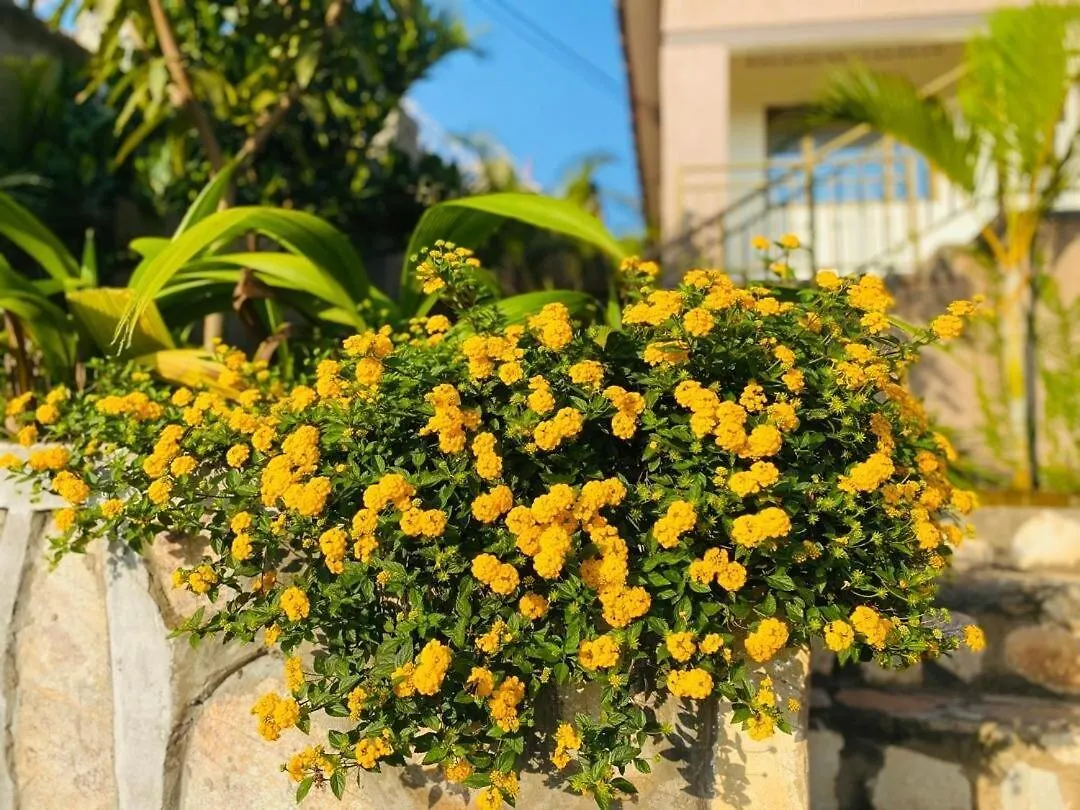 Blooming Homes Uganda Καμπάλα Διαμέρισμα