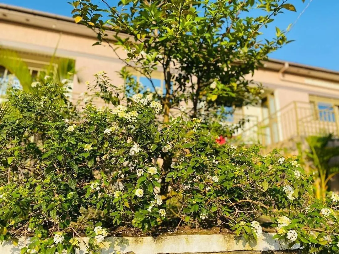 Διαμέρισμα Blooming Homes Uganda Καμπάλα Ουγκάντα